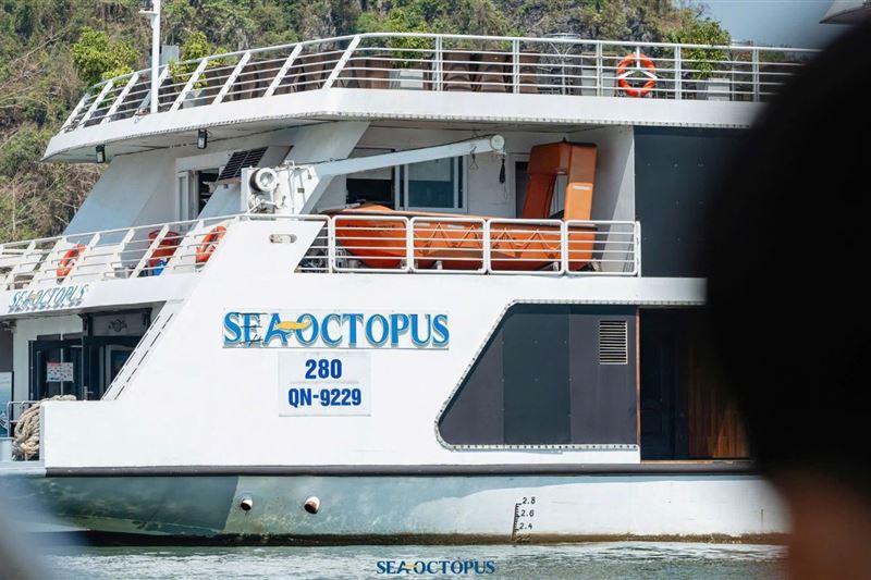  [원데이] 씨 옥토퍼스 크루즈 투어 SEA OCTOPUS DAILY CRUISE (하롱베이 일일투어)